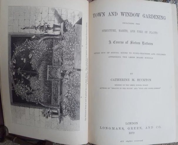 Town and Window Gardening